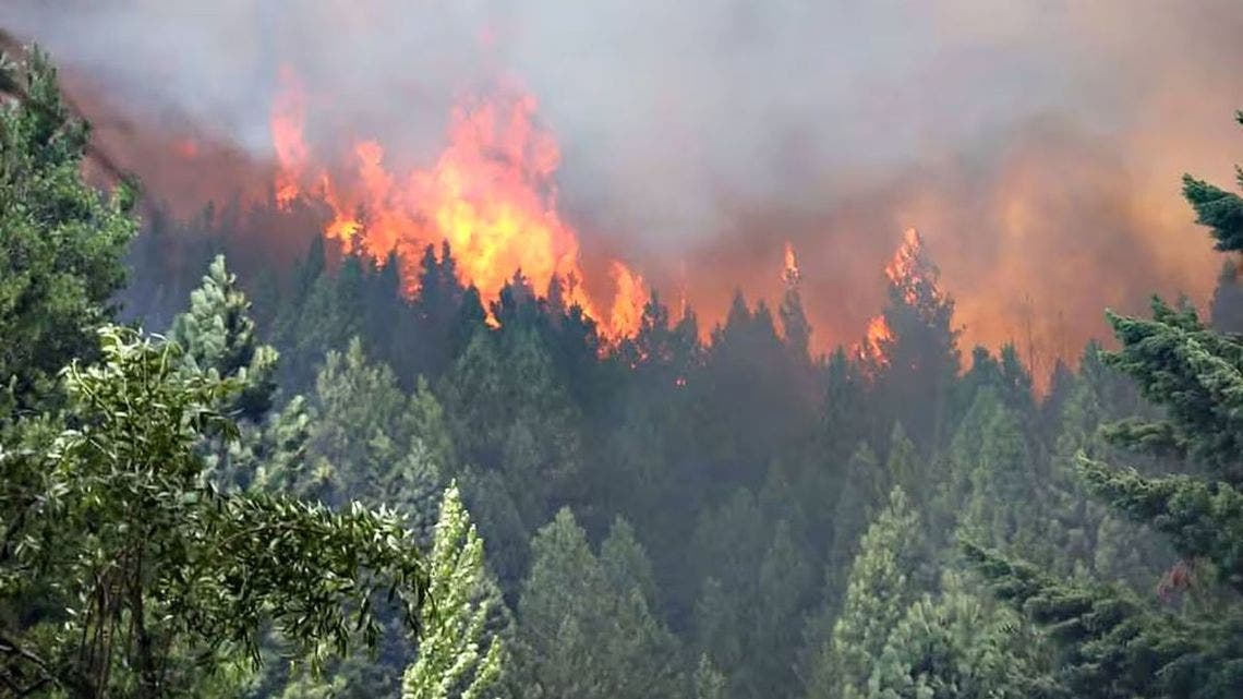 incendio-epuyenjpgjpg
